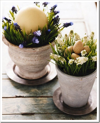 pasqua3