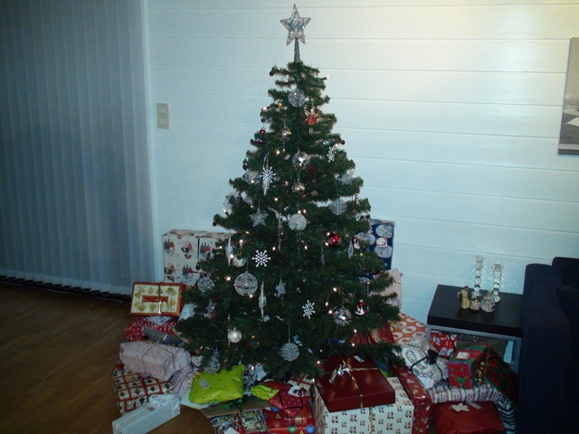 [DSC001484.jpg]