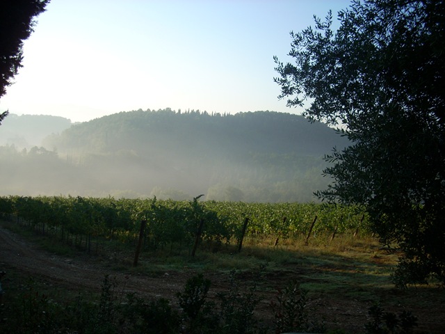 [Vigna[5].jpg]