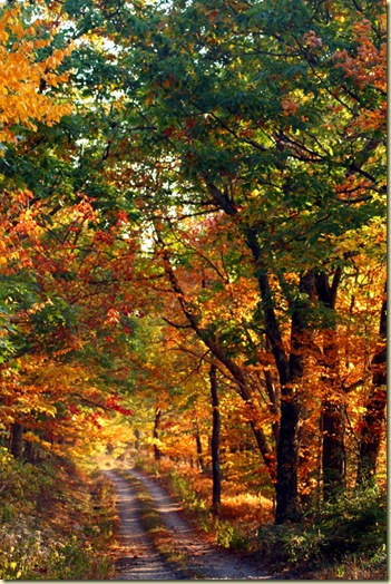 country-mountain-road