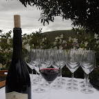 Vitruvian launch at Beaumont estate