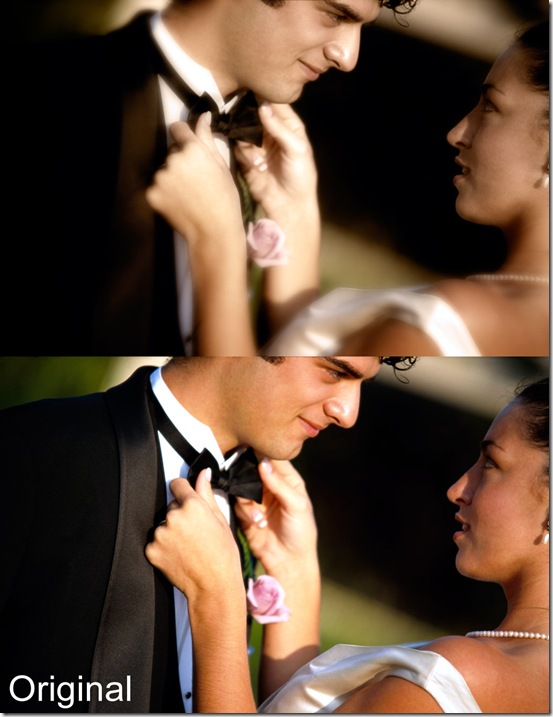 Wedding Photo Effect sample Wedding Photo Effect sample