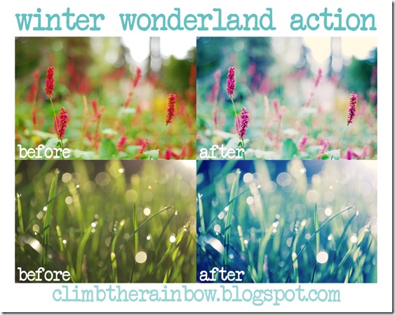 winter_wonderland_action_by_laura1995-d358zq0