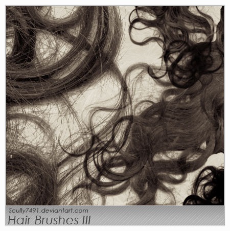 [Hair_Brushes_III_by_Scully7491[3].jpg]