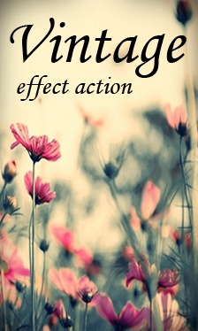 [Vintage_Effect_Action_by_Irridian[3].jpg]