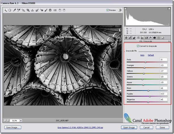 Converter imagem em preto e branco no camera raw 00001 Converter imagem em preto e branco no camera raw 00001