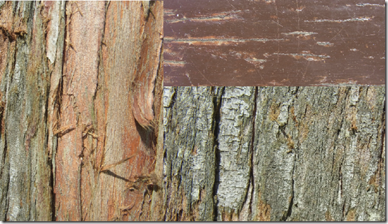wood textures wood textures