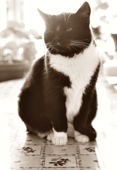 sepia2_MG_7686