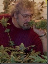 jack_herer-223x300