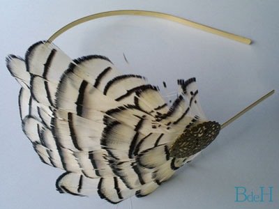[Diadema_plumas-rayas-BN-zoom[5].jpg]