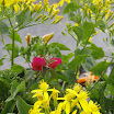PB130035.JPG