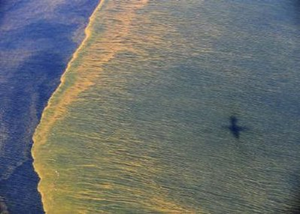 Oil is seen on the surface of the Gulf of Mexico in an aerial view of the Deepwater Horizon oil spill off the coast of Mobile, Alabama, in this handout photograph taken from a U.S. Coast Guard HC-144 Ocean Sentry aircraft on May 6, 2010 and obtained on May 9, 2010. REUTERS/Mass Communication Specialist 1st Class Michael B. Watkins / U.S. Navy / Handout