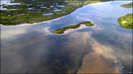 Officials said the Chandeleur Islands had been hit by a 'sheen' of oil. AP