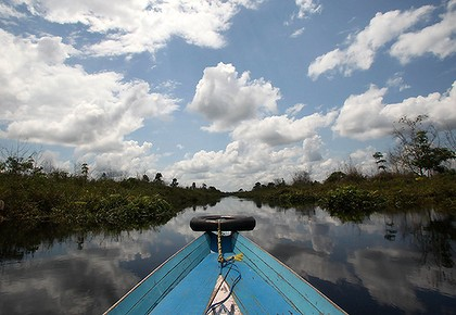 Voyage into the unknown: Australia and Indonesia are trying to rehabilitate this ruined swamp land in Kalimantan. Photo: Josh Estey