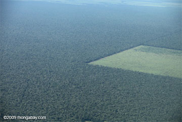 Deforestation in the Brazilian Amazon. Photo by Rhett A Butler.