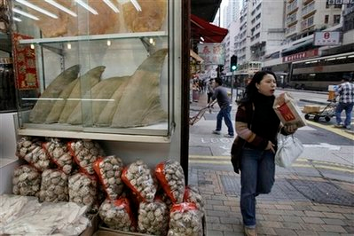 In this March 8, 2010 photo, a woman walks past shark fins displayed in a glass case at a dried seafood shop in Hong Kong. A U.N. body best known for protecting tigers and elephants will take aim at the world's overfished oceans, considering proposals to regulate the shark trade and ban the export of a tuna species prized by sushi lovers, in a meeting starting Saturday in Doha. (AP Photo / Vincent Yu)
