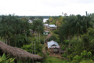Small community along the Amazon river. www.mongabay.com