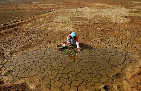 A woman cleans vegetable in a partially dried-up pond on the outskirts of Yingtan,  Jiangxi province February 6, 2009. Drought-hit areas of northern central China are likely to see some rain over the weekend, Yu Xinwen, spokesman for China Meteorological Administration, said in a webcast on Friday. REUTERS / Stringer via seawayblog.blogspot.com