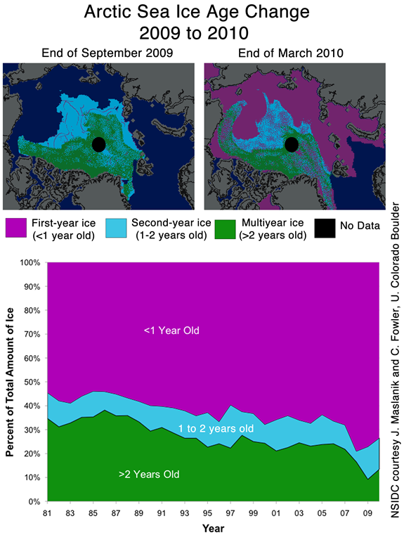 Arctic Sea Ice Change, 1981-2010. These images show the change in ice age from fall 2009 to spring 2010. The negative Arctic Oscillation this winter slowed the export of older ice out of the Arctic. As a result, the percentage of ice older than two years was greater at the end of March 2010 than over the past few years. National Snow and Ice Data Center courtesy J. Maslanik and C. Fowler, CU Boulder