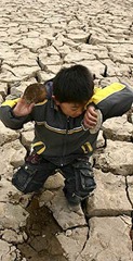 A child plays with dead clams on a dried-up riverbed in Zhengzhou, Henan province (Donald Chan/Reuters) 