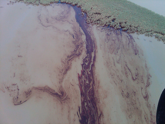 Thick, rust-colored ribbons of emulsified oil encroach on the shores of the Pass-a-Loutre Wildlife Management Area as dark pools of oil form near the Louisiana coast, 18 May 2010. Louisiana Governor's office via AP