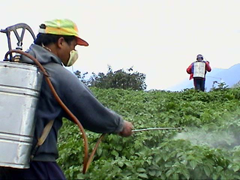 Farmer spraying pesticide. environmentalhealthnews.org