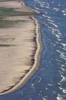 Oil stains line a beach in South Pass, Louisiana May 21, 2010. A month after BP's Deepwater oil spill in the Gulf of Mexico, oil still pours from the source and has began to reach coastal Louisiana. REUTERS / Lee Celano