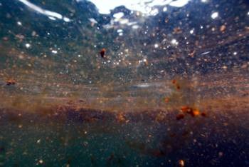 Patches of oil from the Deepwater Horizon spill are seen from an underwater vantage, Monday, June 7, 2010, in the Gulf of Mexico south of Venice, Louisiana. AP Photo / Rich Matthews