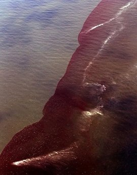 Oil mixes with water off the coast on May 29, in the Gulf of Mexico near Venice, Louisiana. The disaster has already closed stretches of coastal fishing waters, endangering the seafood industry and tourism, and threatening a catastrophe for Louisiana marshes, home to many rare species. (AFP / Getty Images / File / Win McNamee)