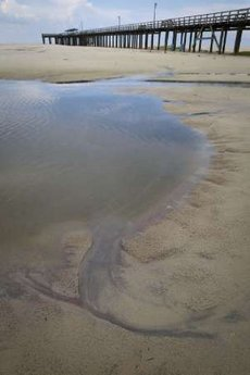Oil residue from the Deepwater Horizon oil spill is visible in a tidal pool at Dauphin Island, Alabama June 2, 2010. REUTERS / Lee Celano