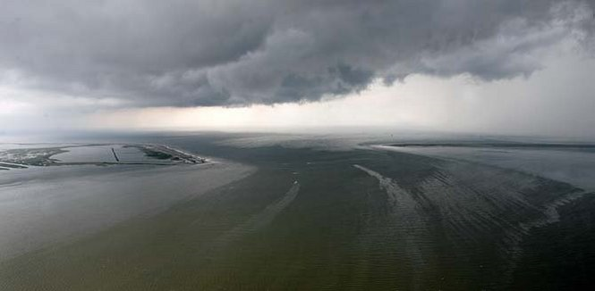 With Louisiana's barrier islands in the background, looking south, oil streams into Barataria Bay, inundating the inside waters north of Grand Isle, La., even as oil continues to spew from the Deepwater Horizon spill into the Gulf of Mexico, Wednesday, June 2, 2010. PHOTO BY TED JACKSON / THE TIMES-PICAYUNE