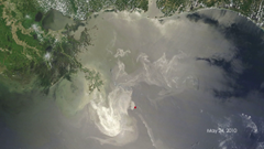 Oil spill in the Gulf of Mexico viewed by the MODIS instrument, on board NASA's Terra and Aqua satellites. The spill began on April 20, 2010 with the explosion of the Deepwater Horizon oil rig. The full image archive is available on the MODIS Rapid Response Web site. NASA / Terra / Aqua