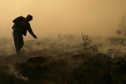 Firefighters works to extinguish a peat fire in a forest near the village Ryazanovka outside Moscow on July 29. AFP photo