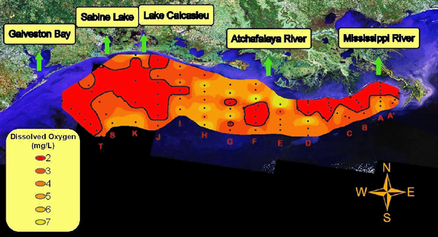 Oxygen concentration in bottom-water across the Louisiana-Texas shelf from July 25-31, 2010. The black line outlines values less than 2 mg/L, or hypoxia. Letters indicate transects. Black dots are sampled stations. Data source: N.N. Rabalais, Louisiana Universities Marine Consortium, R.E. Turner, LSU; funded by NOAA, Center for Sponsored Coastal Ocean Research