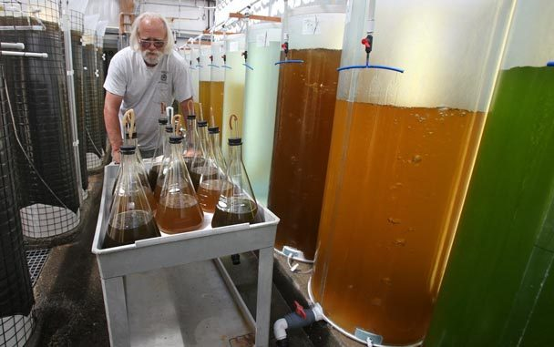 Taylor Shellfish hatchery worker Paul Weinstein wheels flasks from a sterile room that contain the starts of algae and diatoms, which will be grown at the hatchery and used as food for shellfish, Saturday, July 31, 2010. STEVE RINGMAN / THE SEATTLE TIMES