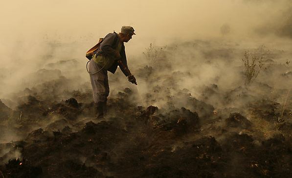 A firefighter works to extinguish a peat fire in a forest near the village Ryazanovka outside Moscow, 29 July 2010. Artyom Korotayev / AFP / Getty Images