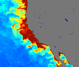 Map of Pacific Coast hypoxic zone. via osufoundation.org