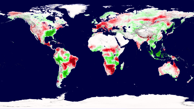 A snapshot of Earth&rsquo;s plant productivity in 2003 shows regions of increased productivity (green) and decreased productivity (red). Tracking productivity between 2000 and 2009, researchers found a global net decrease due to regional drought. Credit: NASA Goddard Space Flight Center Scientific Visualization Studio