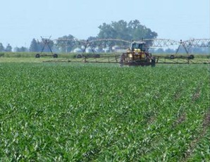 Atrazine is sprayed on an Iowa cornfield. ENS / Photo credit unknown