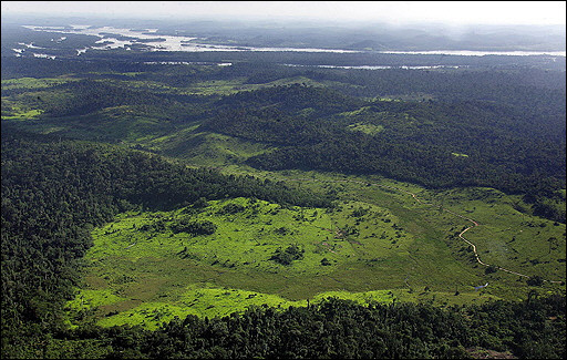 Deforested area in the border of Xingu river, 140km from Anapu, state of Para, northern Brazil, in the Amazon rain forest. AP