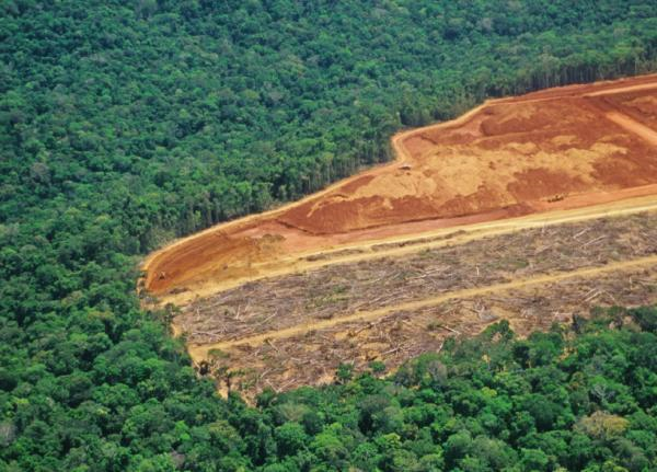 Deforestation in the Amazon. (Credit: iStockphoto)