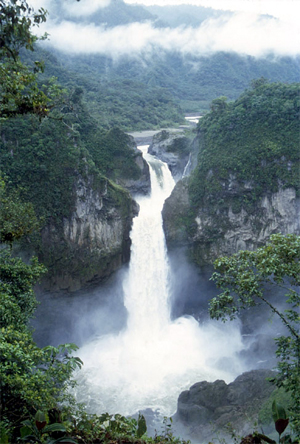Ecuador's largest and most spectacular waterfall, San Rafael Falls (480 ft), is threatened by the Chinese-funded Coca-Codo Sinclair Hydroelectric Project. Matt Terry