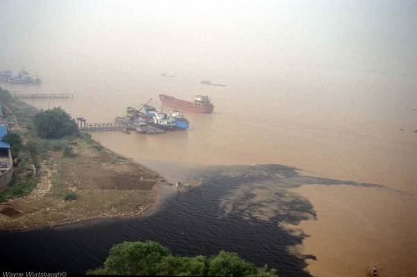 The jet-black waters of the Nanjing River entering the turbid waters of the Yangtze River, September 2000. The source of the black water was not determined. Notice the lift-net fisherman in the lower right of the picture. Wayne Wurtsbaugh / aslo.org