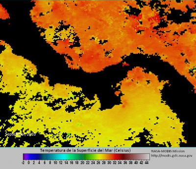 This graphic displays sea surface temperatures in September 2010. Credit: NOAA