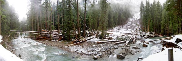 A massive mudslide began on Backbone Ridge above Ohanapecosh Campground, during a November 2007 rainstorm. It took out the forest and swept down to the river. mountrainierflood.blogspot.com