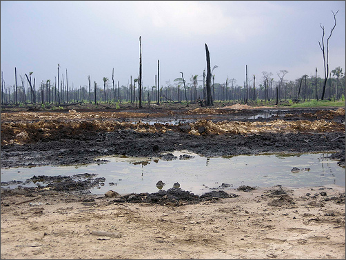 Shell oil spill, Nigeria. Remember Saro-Wiwa / flickriver.com