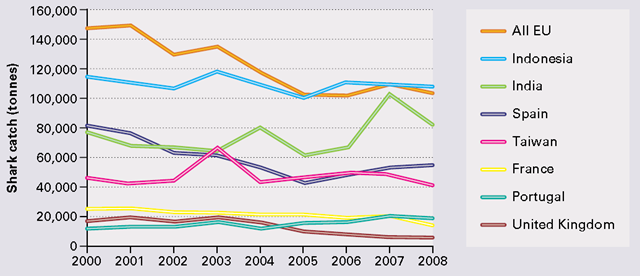 Shark catches (tonnes/year) by major fishing nations, 2000-2008. FAO Fishstat / iucn.org