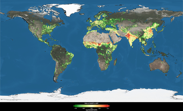 This global map shows total consumption by region of photosynthetic plant material as a percentage of the plant material grown by region. Scientists call the plant 'supply' net primary production, or NPP, and refer to the 'demand' as Human Appropriation of Net Primary Production (HANPP). Credit: Trent Schindler, Scientific Visualization Studio, NASA's Goddard Space Flight Center