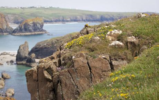 The Government has been in talks with wildlife charities about handing over control of sites such as The Lizard in Cornwall. Photo: JONATHAN BUCKLEY