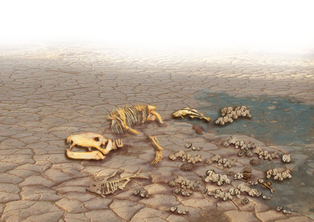 Permian Mass Extinction: About 250 million years ago, more than 90% of all species on Earth mysteriously perished during a mass extinction, perhaps within just a few thousand years. Trilobites became extinct; coral, bryozoan, and brachiopod species diminished. Land plants and animals were also impacted; amphibian species dwindled and fungi dominated some ecosystems. lpi.usra.edu